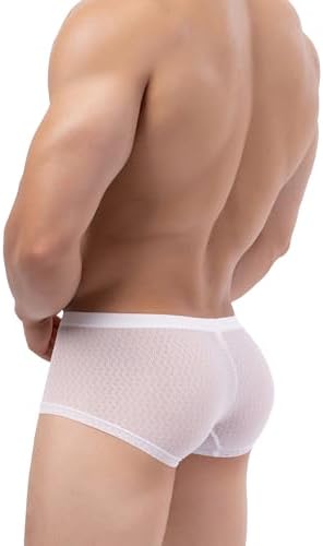 Lace Boxer Briefs See Through Bulge Shorts • White • 6-pack