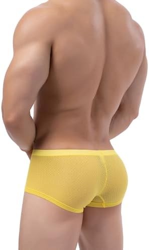 Lace Boxer Briefs See Through Bulge Shorts
